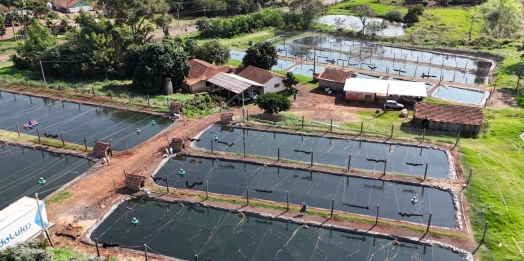 Cresol participa do VI Congresso Internacional do Peixe, em Foz do Iguaçu (PR)