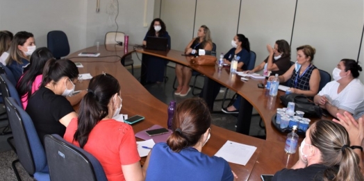 Encontro com profissionais da Saúde de São Miguel do Iguaçu  alinha ações no atendimento à criança e adolescente