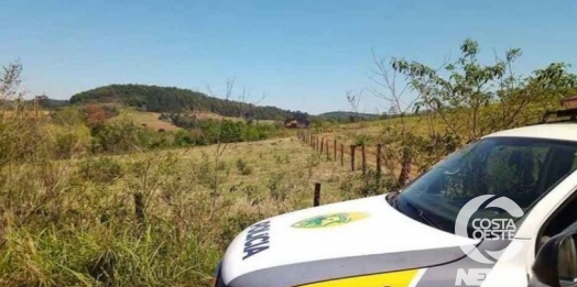 Família se ausenta de propriedade rural e ladrões 