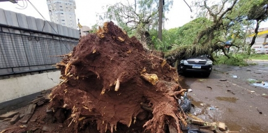 FOTOS: Forte rajada de vento causa estragos em Foz do Iguaçu