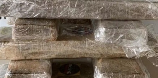 Funcionária de loja de cosméticos recebe encomenda errada, abre caixa e encontra 12 kg de maconha em Londrina