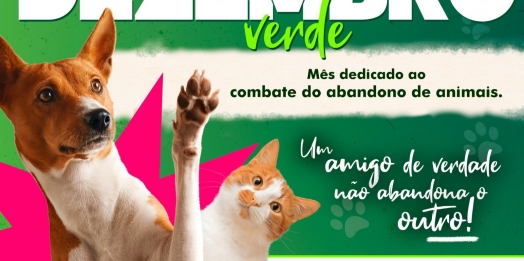 Governo Municipal conscientiza contra o abandono de animais no ‘Dezembro Verde’