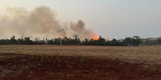 Incêndio em área de mata próximo à Plantiagro causa grande prejuízo ambiental