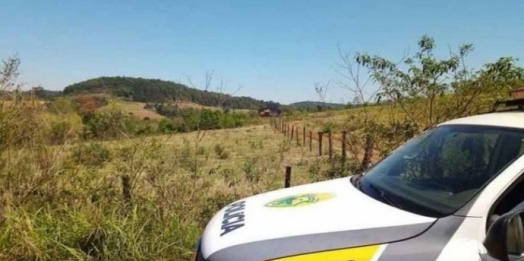 Ladrões abatem gado em propriedade rural de Diamante do Oeste e PM encontra celular deixado pelos suspeitos