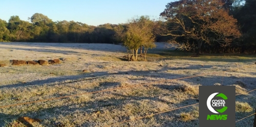 Mais de 30 cidades registram temperaturas negativas no Paraná, segundo SIMEPAR