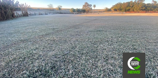 Medianeira registrou mínima de 0°C e geada nesta madrugada