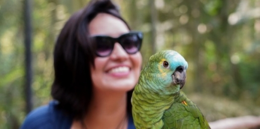 Moradores de Foz terão entrada gratuita no Parque das Aves em outubro