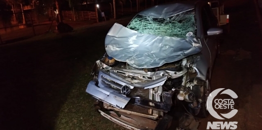 Motorista fica ferido após atropelar bovino na PR-874, em Santa Terezinha de Itaipu