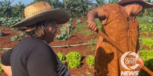 Mulheres transformam comunidade com plantio de hortaliças