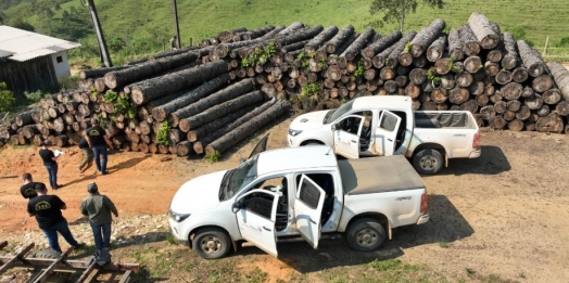 Multa por crimes ambientais cresce 24% no Paraná entre janeiro e novembro de 2024