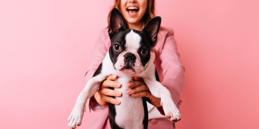 Outubro Rosa Pet: prevenção do câncer de mama em cadelas e gatas é foco do Hospital Veterinário UNIGUAÇU neste mês