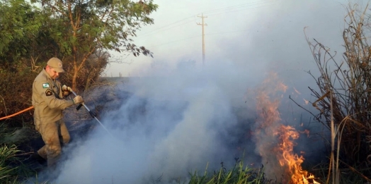 Paraná está em alerta para incêndios florestais e onda de calor