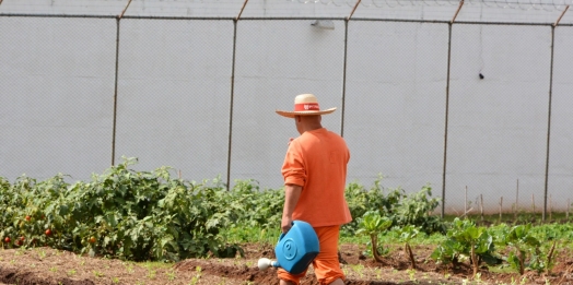 Paraná inicia o ano com mais de 240 novas iniciativas de trabalho aos custodiados do sistema prisional