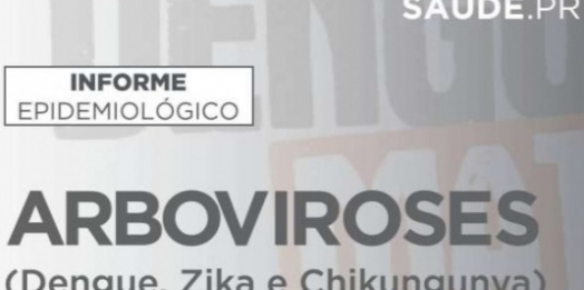 Paraná registra 513 casos de dengue; mais 21 foram contabilizados nesta terça-feira (21)