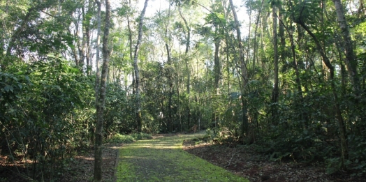 Parque Nacional do Iguaçu lança aplicativo de trilhas