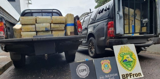 PF e Forças Estaduais apreendem 910 Kg de maconha em Santa Helena