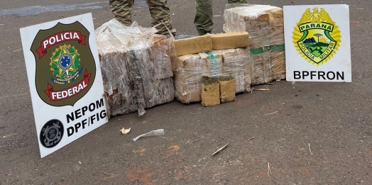 PF e PM apreendem mais de 100kg de maconha no Paraná