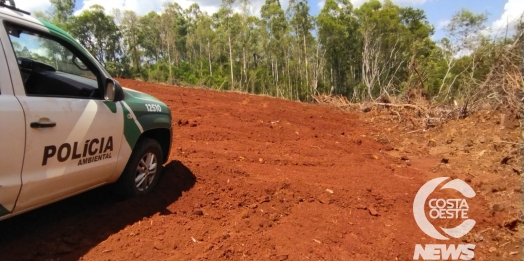 Polícia Ambiental realiza autuação por dano em vegetação nativa na região oeste