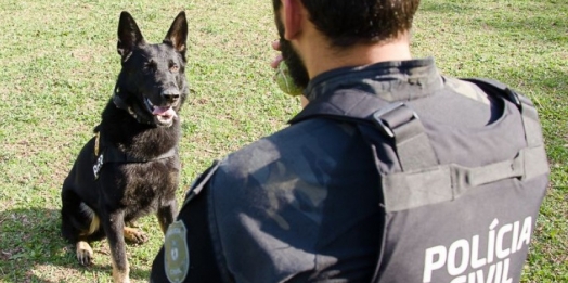 Polícia Civil do Paraná promoverá ações em alusão ao Junho Branco