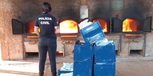 Polícia Civil incinera mais de 370 quilos de entorpecentes