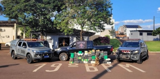 Polícia Militar apreende 850 quilos de droga em área rural de Toledo