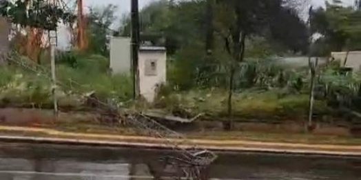 Polícia Rodoviária informa queda de árvores e torre nas PR 488 e 995 em Santa Helena