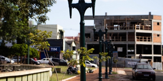 Praça Ângelo Darolt recebe melhorias na iluminação e arborização em Medianeira