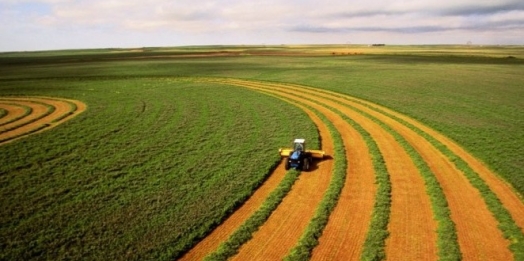 Preços dos alimentos: Confederação da Agricultura e Pecuária do Brasil destaca papel do agro para conter inflação