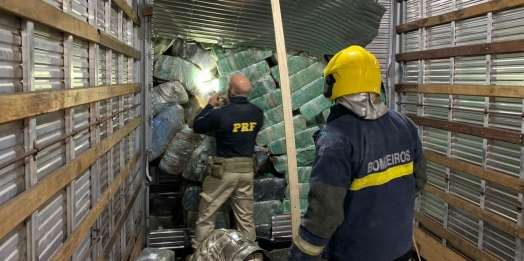 PRF apreende fuzis, grande quantidade de munições e maconha na BR-277