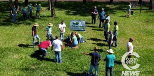 Projeto 24 milhões de árvores plantadas chega em sua fase final