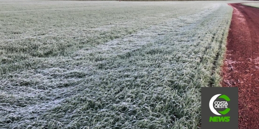 Santa Helena registra mínima de 1ºC e formação de geada, segundo Simepar