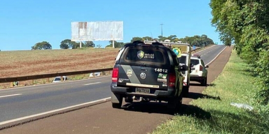 São Miguel: Cadáver é encontrado às margens da BR 277, vítima de atropelamento