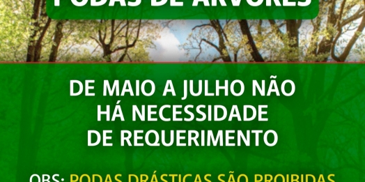 Secretaria de Meio Ambiente de Missal relembra prazos para podas de árvores