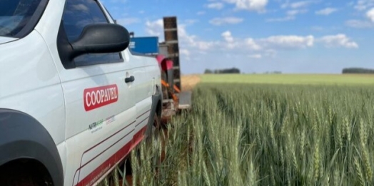 Show Rural de Inverno vai mostrar benefícios da agricultura de precisão no trigo