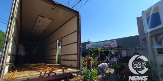 SMI: Feira de Mudas do Sindicatos dos Trabalhadores Rurais conta com uma variedade de produtos