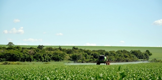 Soja 2024/25: produção deve atingir 170,8 milhões de toneladas no Brasil