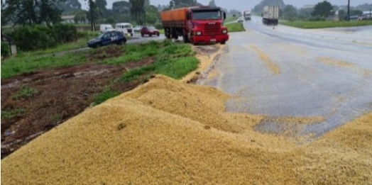 Soja é derramada na pista após tamba traseira de carreta abrir na BR-277