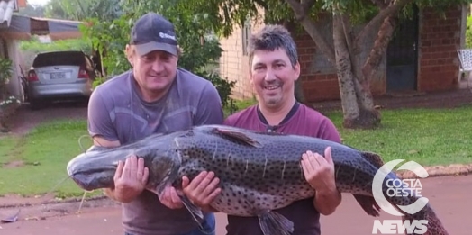 Surubim com mais de 40kg é capturado por pescadores em Santa Helena