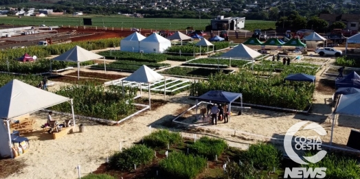 Uniguaçu realiza III Dia de Campo, evento segue até amanhã (04)