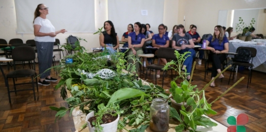 Uso popular das plantas medicinais é tema de capacitação para profissionais da saúde em Missal