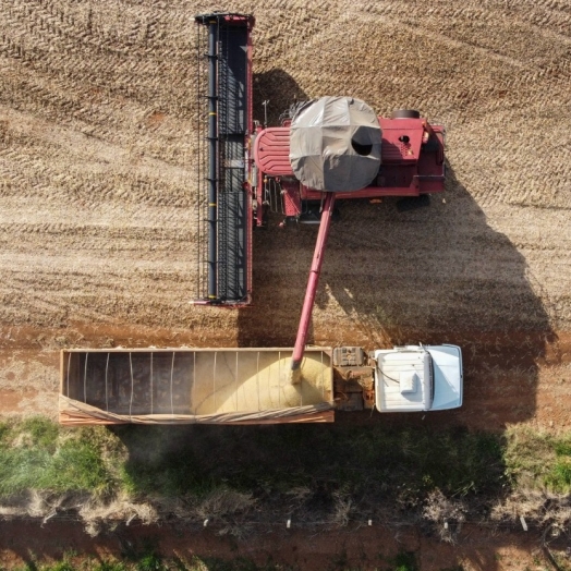 35 cidades do Paraná têm Valor Bruto da Produção Agropecuária superior a R$ 1 bilhão