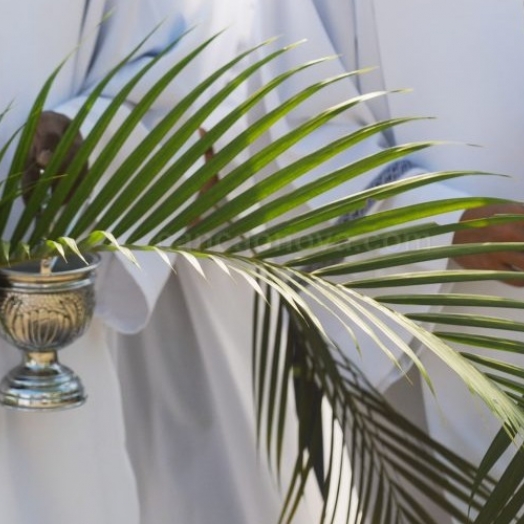 A Semana Santa teve início com o Domingo de Ramos, em todas as paróquias de Toledo