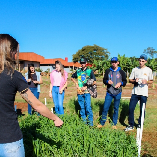 Agrociência: Acadêmicos de Medicina Veterinária e Agronomia apresentam trabalhos científicos no evento