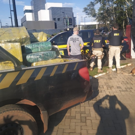 Ação Integrada da PRF, PF e PM/MS resulta na apreensão de 921 Kg de maconha em Guaíra