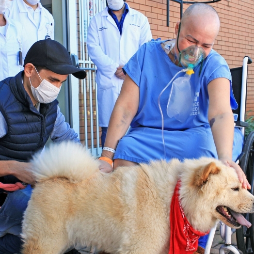 Após pedido especial, paciente em cuidado paliativo recebe visita de cachorrinha de estimação