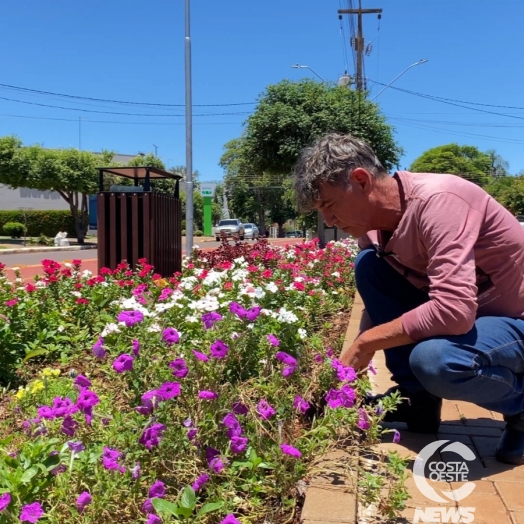 Avenida Will Bart: Paisagismo Revitaliza Espaço Urbano em São Miguel do Iguaçu