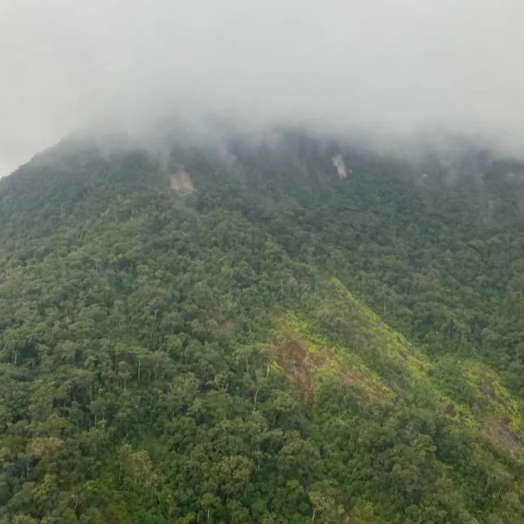 Avião com servidores do Governo do Paraná desaparece na Serra do Mar