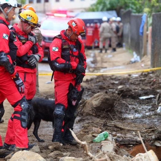 Bombeiros e cães do Paraná embarcam para ajudar o RS, onde 41 morreram por causa do ciclone