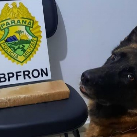 BPFron apreende casal transportando droga em Santa Helena