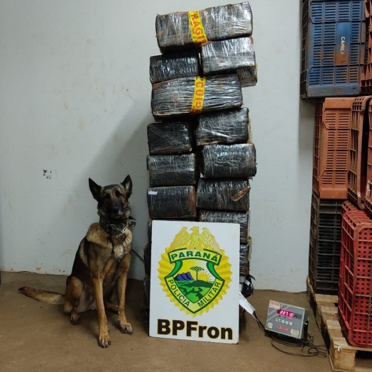 BPFron apreende droga em Santa Helena